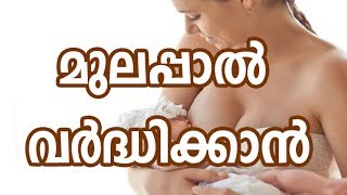 മുലപ്പാല്‍ വര്‍ദ്ധിപ്പിക്കാന്‍