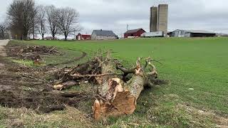 Storm Damage In Kalamazoo