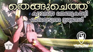 Toddy Tapping Process in Kerala I കേരളത്തിലെ കള്ളുചെത്ത് രീതികള്‍ I Window Seat Vlog 2