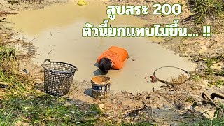 สูบสระ 200 เจอยักษ์ใหญ่ตัวนี้ยกเเทบไมขึ้น..!!! สระเล็กๆเเต่มีไซร์นี้เฉลยเลย #บรรยากาศ #สูบสระ