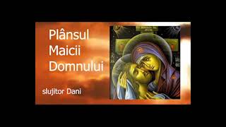 Plansul Maicii Domnului - slujitor Dani