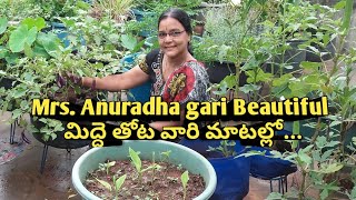 #Beautiful garden of Mrs.Anuradha garu-Medhipatnam//Terrace Garden//Kitchen Garden//Regs Gardener