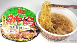 No.7009 ヤマダイ ニュータッチ凄麺 新潟背脂醤油ラーメン