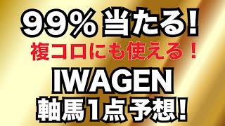 ９９％当たる！IWAGENの軸馬１点予想！【東京６R・１１R・１２R】