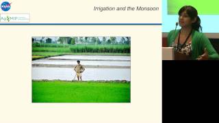 ILSI India: The Impact Of Intensified Irrigation (Dr. Sonali McDermid)