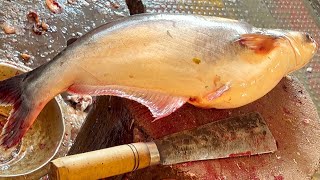 Incredible Big Pangas Fish Cutting In Fish Market | Fish Cutting Skills