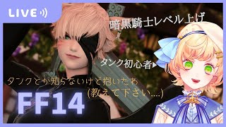 【 FF14 /  Vtuber 】🐢タンクわからんけど暗黒騎士するわ🐢【Gaia/ Durandal】