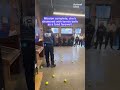 watch the nypd give a retiring bomb sniffing dog a ceremonial send off humankind shorts nypd