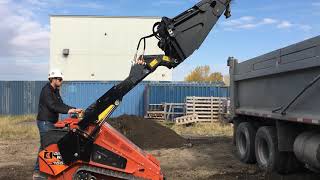 MINI-SKID STEER + HIGH DUMP BUCKET