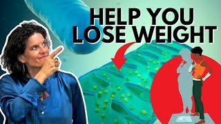 How Does MITOCHONDRIA Help with Weight Loss?