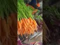 farm fresh vegetables from kodaikanal shortsvideo kodaikanal