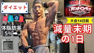 体脂肪率5%の男の減量末期の1日【ボディビル大会14日前】#ダイエット #筋トレ #vlog