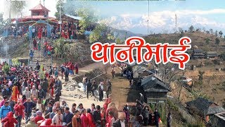 थानीमाई बसन्तपु्र, तनहु ||जहाँ मनोकामना पु्रा गर्न २६० हात लामो तोरणले | मन्दिर घेरिन्छ ।