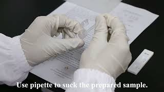 How to Use Dog Pregnancy Test Kit at Home – Step by Step Demo 2026