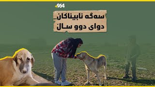 دوای دووساڵ سەگە نابیناکان چییان بەسەرهات؟