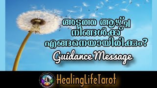 Transformation വരുന്നു. അടുത്ത ആഴ്ച്ച നിങ്ങളുടെ 🦋🔮🧿 #guidancemessages #generaltarotreading #tarot