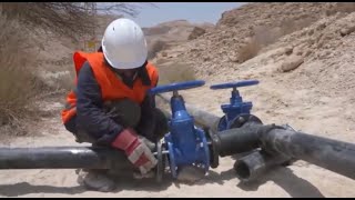 פריסת טפטפות לעצי השיטה - Installing drip irrigation systems for the acacia trees