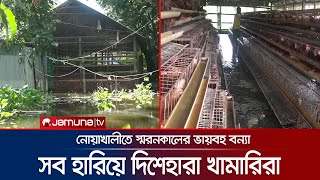 বন্যায় ডুবে আছে খাঁচা; ক্ষতিগ্রস্ত ৪৪ কোটি টাকার গবাদিপশু | Noakhali Flood Farm Damage | Jamuna TV