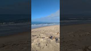 🌊 Stunning Views from the Dunes | Beach North of Biscarrosse