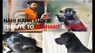 NAHI RAHA FUDGE !!  || Tribute To Sushant and Fudge || TRIBUTE SUSHANT SINGH RAJPUT ||