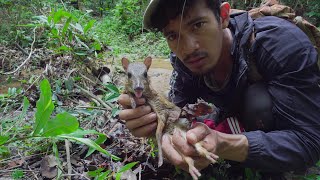 Rescue of trapped wildlife in forest កាជួយសង្គ្រោះសត្វព្រៃពីការជាប់អន្ទាក់ episode 92