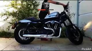 Escapamento 2x1 883 Sportster 1200 Roadstar Forty Eight Iron Torbal