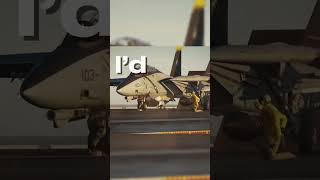 F-14 Tomcat Edit