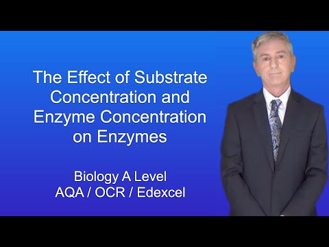 How is the rate of an enzyme catalyzed reaction affected by increasing enzyme concentration?