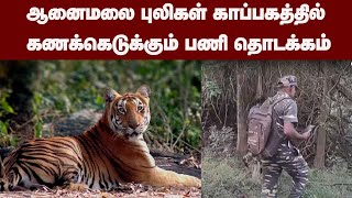 ஆனைமலை புலிகள் காப்பகத்தில் கணக்கெடுக்கும் பணி தொடக்கம்