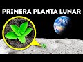 Los científicos cultivan plantas en suelo lunar + Datos asombrosos de plantas que no sabías