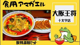 秋田県横手市十文字町‼️【大阪王将十文字店】オープン一周年㊗️十文字駅前にできた餃子専門店で『酸辣湯麺』と『五目あんかけラーメン』を食す‼️