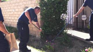 Fireman gets deadly bite from rattlesnake