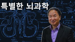 제4회 특별한뇌과학 5강-1(2012)_interneuron