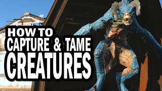 How to Catch and Tame Deathclaws, Raiders, and Other Creatures in Fallout 4 Wasteland Workshop DLC