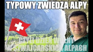 Typowy zwiedza: Szwajcaria i Lauterbrunnen - co robię w Alpach w dzień wolny od jeżdżenia?