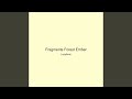 Fragments Forest Ember