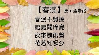 【春曉】唐 ‧ 孟浩然 #粵語 #廣東話 #繁體 #唐詩三百首 #古詩欣賞 #學古詩 #五言絕句  #朗誦 #誦讀 #幼兒 #兒童 #早教 #早學 #啟蒙 #學中文