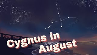 Cygnus - Our August Constellation