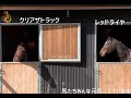 【tcc】ホースシェルターの朝☀️2021.03【horseshelter】引退競走馬