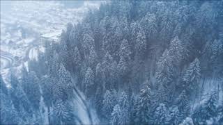 Cinematic Freestyle 4K Drone Footage - Bird’s Eye View of Snow - Alps