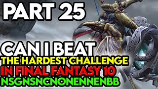 Final Fantasy 10 NSGNSNCNONENNENBB Challenge Part 25 Seymour Flux Prep