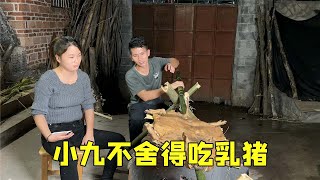 小九不舍得吃乳猪，谭爸趁小九没在家，把香猪给烤了【广西农村老谭】