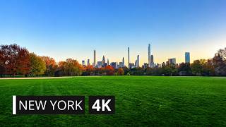 Central Park NYC Walk | Golden Hour Skyline & Spring Blooms | New York City 4K