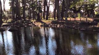 塚山公園～水辺の広場