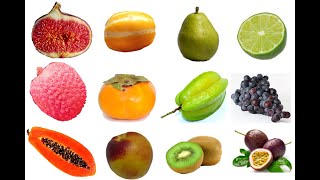 과일 영어 단어 50개ㅣFruits in Korean