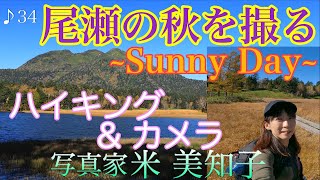 【紅葉撮影】快晴の尾瀬沼を楽しくハイキング＆カメラ♪