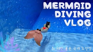 [프따Vlog ] 취미 추천 |내 꿈은 인어공주 | mermaid | 대전 용운국제수영장 | 성심당 |프리다이빙 Freediving| goprohero10| 4k