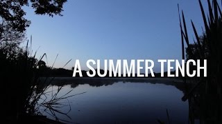 Summer TENCH Fishing on the FLOAT