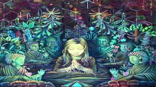 Digital Samsara - Beyond Concept
