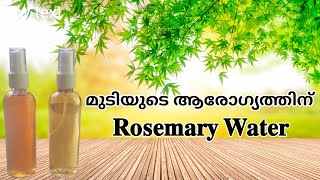 റോസ്മേരി വാട്ടർ എങ്ങനെ വീട്ടിൽ തയാറാക്കാം 🥰 How to make rosemary water